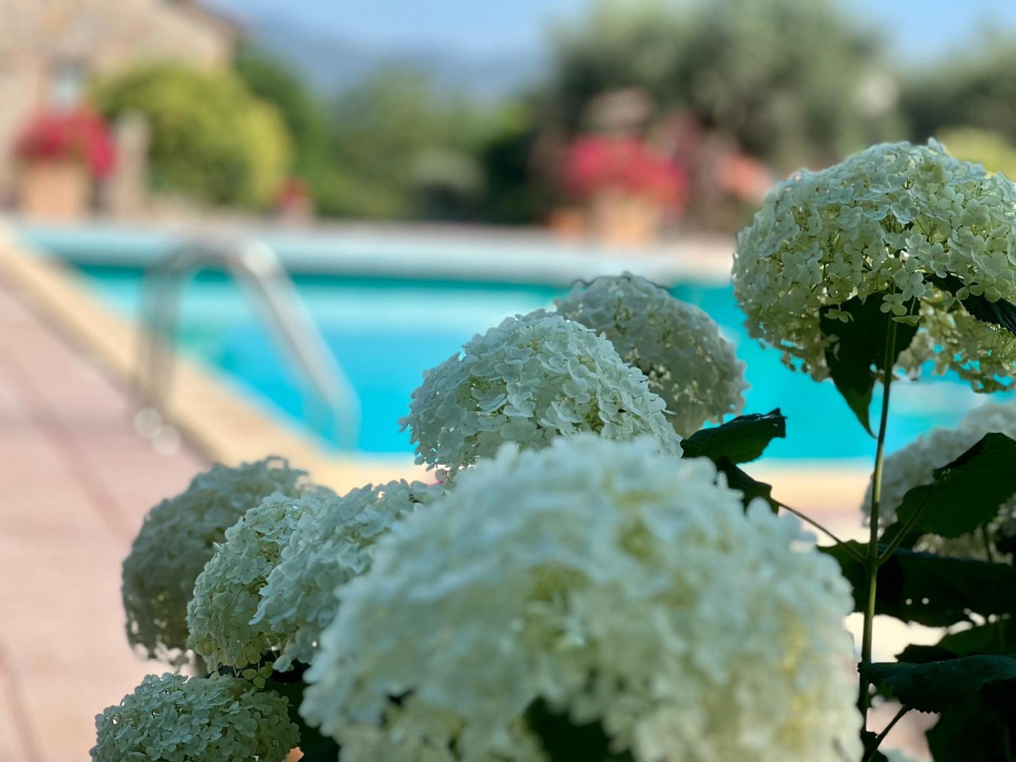 Le Case Di Lisetta Holiday Homes Корчіано Екстер'єр фото