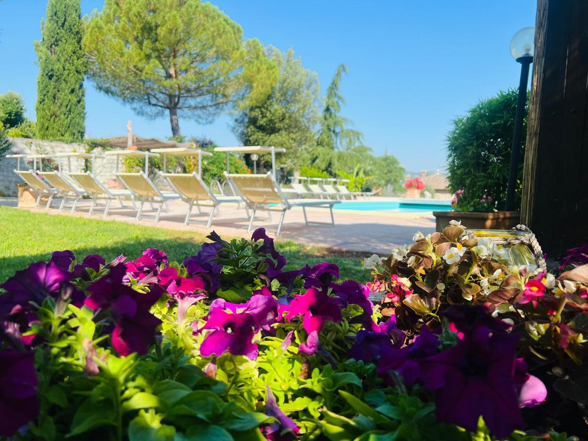 Le Case Di Lisetta Holiday Homes Корчіано Екстер'єр фото