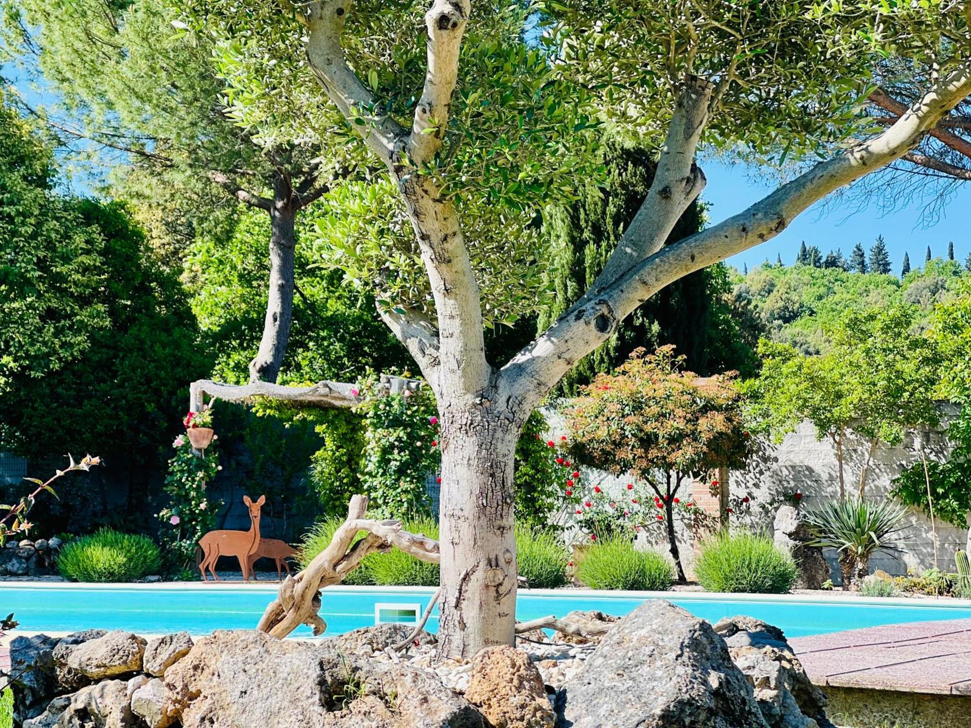 Le Case Di Lisetta Holiday Homes Корчіано Екстер'єр фото